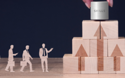 Value Match & Spirale Dynamique : Cartographiez la culture d’entreprise pour activer votre stratégie et engager vos équipes